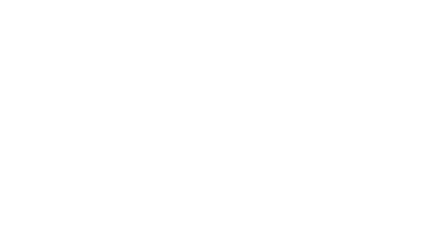 LOGO_TRIBAL_FORCE_x